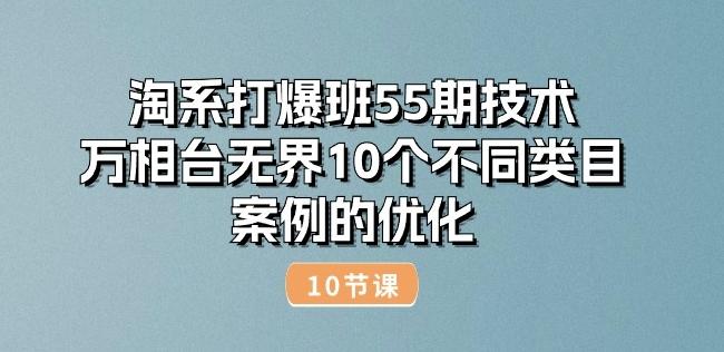 淘系打爆班55期技术：万相台无界10个不同类目案例的优化(10节)-优优云网创
