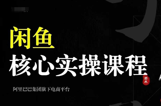 2024闲鱼核心实操课程，从养号、选品、发布、销售，教你做一个出单的闲鱼号-优优云网创