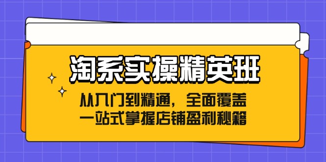淘系实操精英班：从入门到精通，全面覆盖，一站式掌握店铺盈利秘籍-优优云网创
