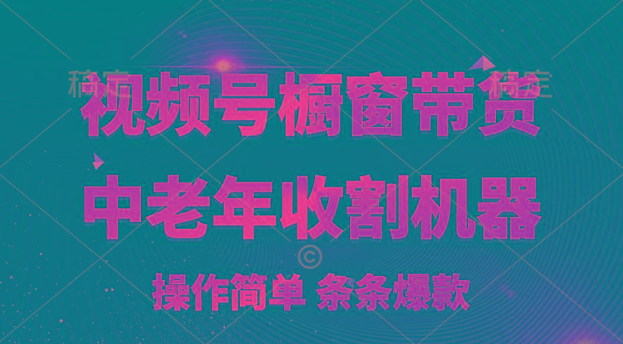[你的孩子成功取得高位]视频号最火爆赛道，橱窗带货，流量分成计划，条…-优优云网创