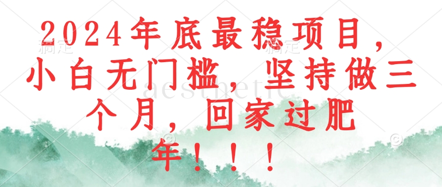 2024年底最稳项目，小白无门槛，坚持做三个月，回家过肥年！！！-优优云网创
