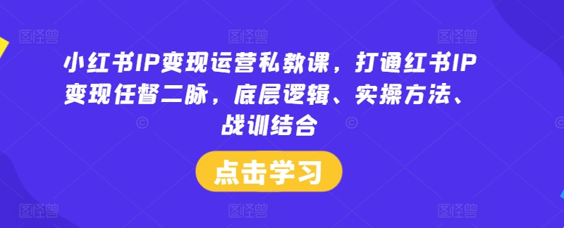 小红书IP变现运营私教课，打通红书IP变现任督二脉，底层逻辑、实操方法、战训结合-优优云网创