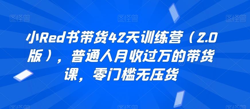 小Red书带货42天训练营(2.0版)，普通人月收过万的带货课，零门槛无压货-优优云网创