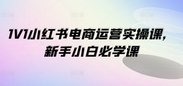1V1小红书电商运营实操课，新手小白必学课-优优云网创