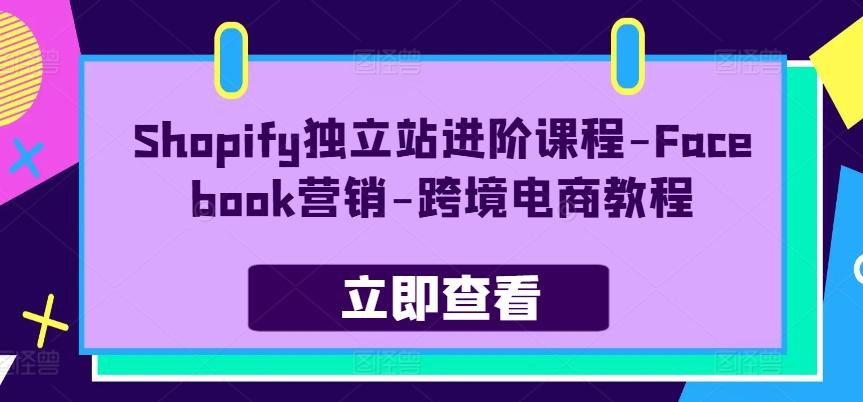 Shopify独立站进阶课程-Facebook营销-跨境电商教程-优优云网创