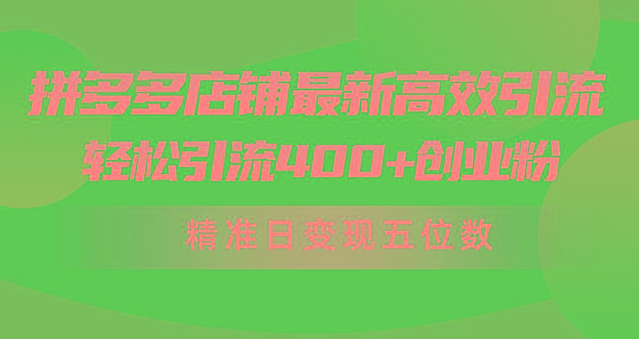 (10041期)拼多多店铺最新高效引流术，轻松引流400+创业粉，精准日变现五位数！-优优云网创