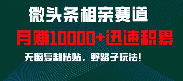 微头条相亲赛道，迅速积累，无脑复制粘贴，野路子玩法，月入1w-优优云网创