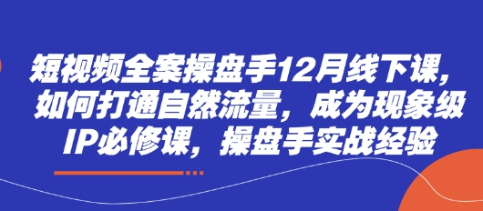 短视频全案操盘手12月线下课，如何打通自然流量，成为现象级IP必修课，操盘手实战经验-优优云网创