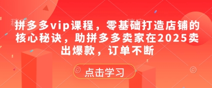 拼多多vip课程，零基础打造店铺的核心秘诀，助拼多多卖家在2025卖出爆款，订单不断-优优云网创