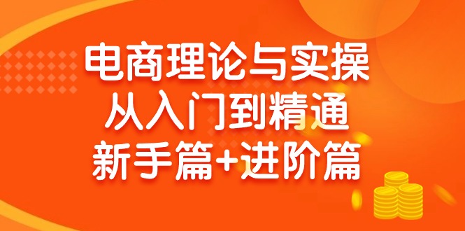 (9576期)电商理论与实操从入门到精通 新手篇+进阶篇-优优云网创