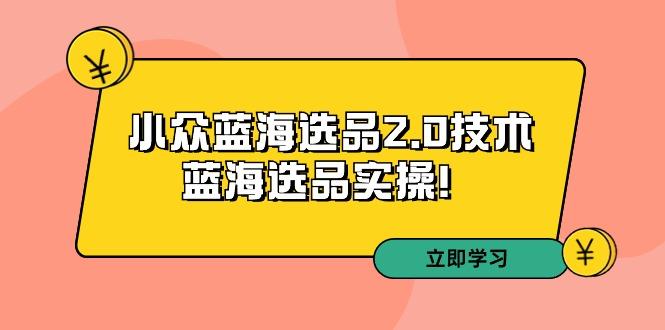 拼多多培训第33期：小众蓝海选品2.0技术-蓝海选品实操！-优优云网创