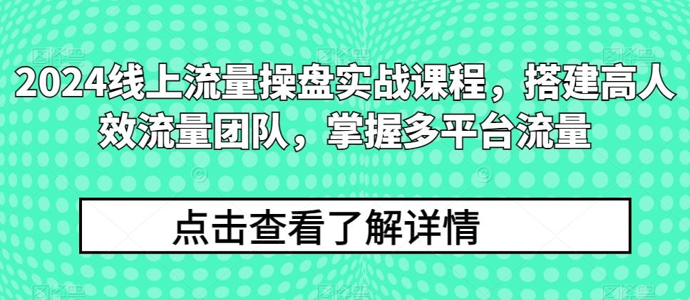 2024线上流量操盘实战课程，搭建高人效流量团队，掌握多平台流量-优优云网创