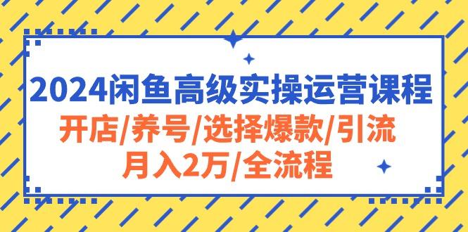 2024闲鱼高级实操运营课程：开店/养号/选择爆款/引流/月入2万/全流程-优优云网创