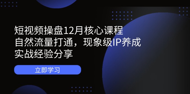 短视频操盘12月核心课程：自然流量打通，现象级IP养成，实战经验分享-优优云网创