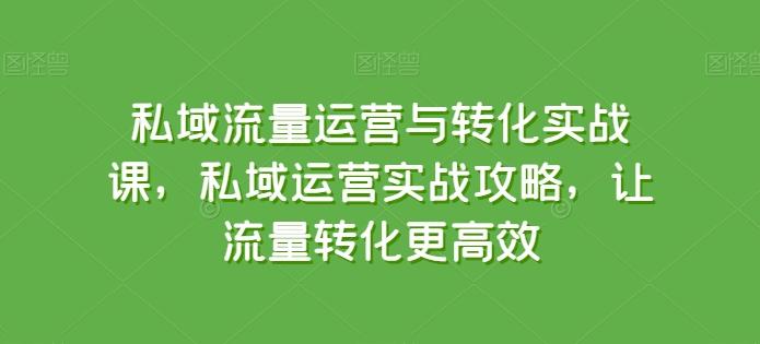 私域流量运营与转化实战课，私域运营实战攻略，让流量转化更高效-优优云网创