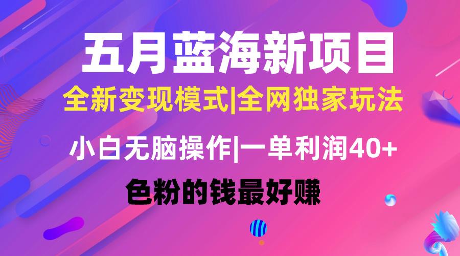 五月蓝海项目全新玩法，小白无脑操作，一天几分钟，矩阵操作，月入4万+-优优云网创