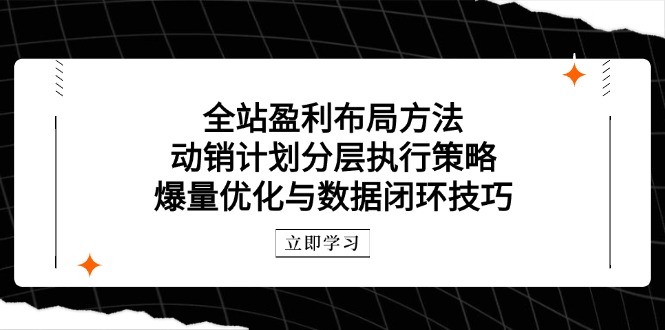 全站盈利布局方法：动销计划分层执行策略，爆量优化与数据闭环技巧-优优云网创