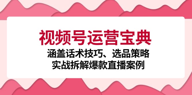 视频号运营宝典：涵盖话术技巧、选品策略、实战拆解爆款直播案例-优优云网创