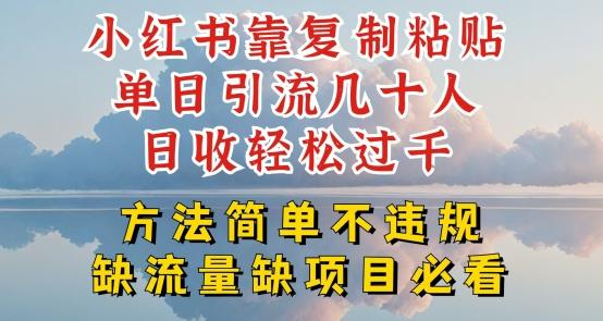 小红书靠复制粘贴单日引流几十人目收轻松过千，方法简单不违规【揭秘】-优优云网创