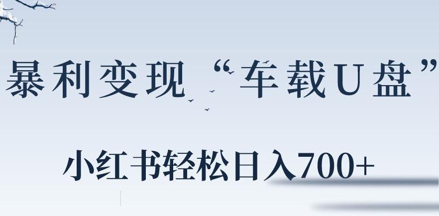 小红书“车载U盘”暴利引流，日入700+-优优云网创