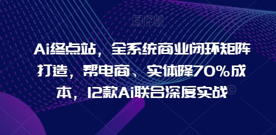 Ai终点站，全系统商业闭环矩阵打造，帮电商、实体降70%成本，12款Ai联合深度实战【0906更新】-优优云网创