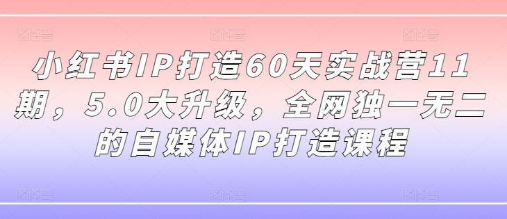 小红书IP打造60天实战营11期，5.0大升级，全网独一无二的自媒体IP打造课程-优优云网创