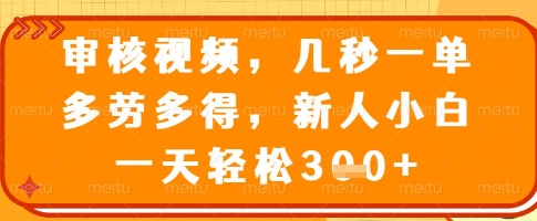 审核视频，几秒一单，多劳多得，新人小白一天轻松3张【揭秘】-优优云网创