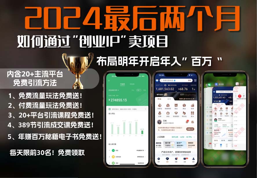 2024最后两个月如何通过”创业IP“卖项目年入”百万“,创业IP+最强引流…-优优云网创