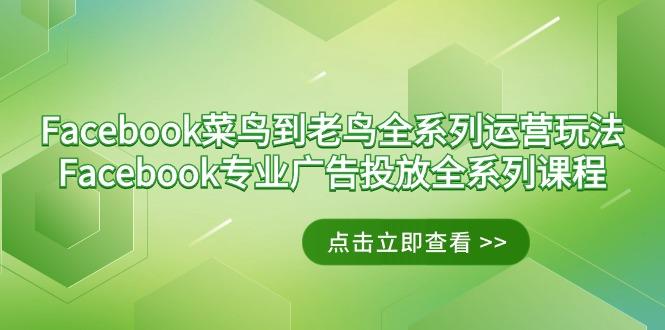Facebook-菜鸟到老鸟全系列运营玩法+Facebook-专业广告投放全系列课程-优优云网创