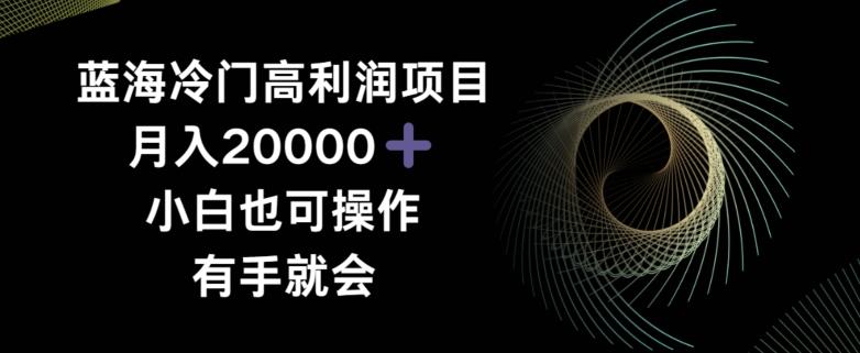 蓝海冷门高利润项目月入2000，小白也可操作有手就会-优优云网创
