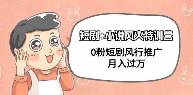 小说+短剧风火特训营，0粉短剧小说风行推广，实现月入过万-优优云网创