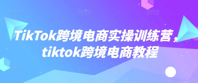 TikTok跨境电商实操训练营，tiktok跨境电商教程-优优云网创