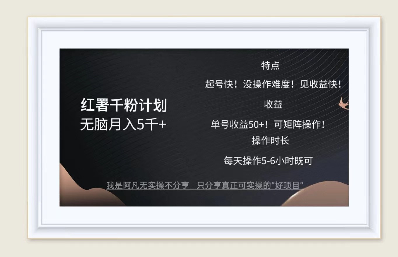 红薯千粉计划无脑月入5千+！既做既赚！-优优云网创