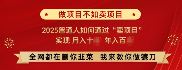 必看，做项目不如卖项目，2025普通人如何通过“卖项目”实现月入十个，年入百个-优优云网创