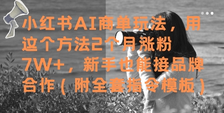 小红书AI商单玩法，用这个方法2个月涨粉7W+，新手也能接品牌合作(附全套指令模板)-优优云网创