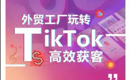 外贸工厂玩转TikTok高效获客，多种引流方式与账号定位技巧，拆解爆款短视频打造成功案例-优优云网创