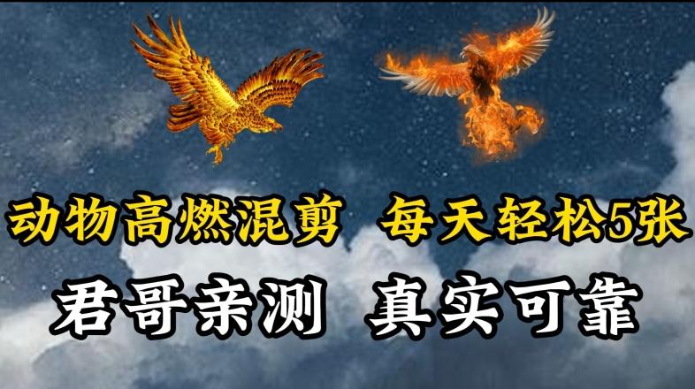 动物超燃混剪，每天轻松5张，剪辑简单大家爱看【揭秘】-优优云网创