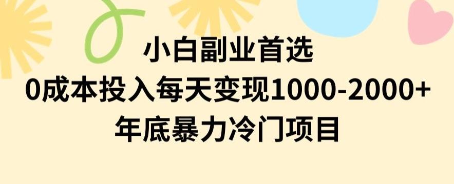 小白副业首选，0成本投入，每天变现1000-2000年底暴力冷门项目【揭秘】-优优云网创