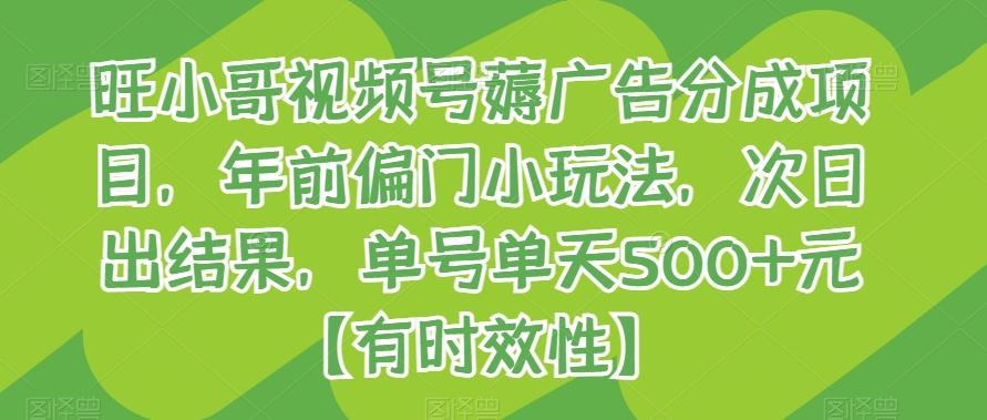 旺小哥视频号薅广告分成项目，年前偏门小玩法，次日出结果，单号单天500+元【有时效性】-优优云网创