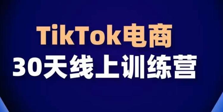 TikTok电商带货30天线上课，不可错过的全球流量洼地！-优优云网创