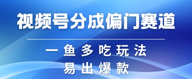 视频号创作者分成计划偏门类目，容易爆流，实拍内容简单易做【揭秘】-优优云网创