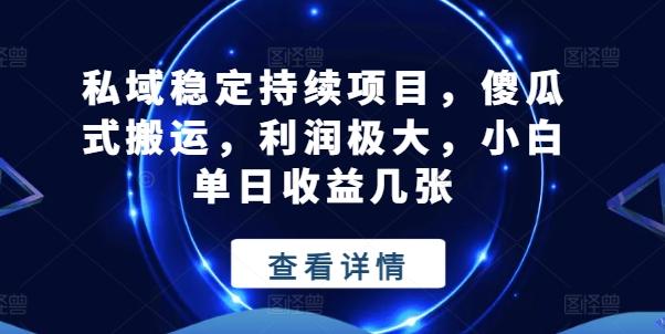 私域稳定持续项目，傻瓜式搬运，利润极大，小白单日收益几张【揭秘】-优优云网创
