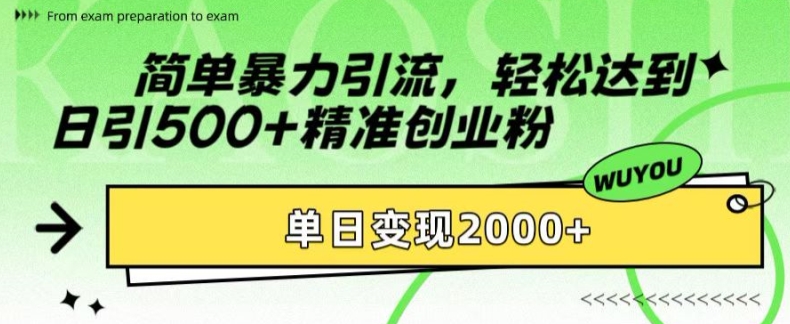 简单暴力引流，轻松达到日引500+精准创业粉，单日变现2k【揭秘】-优优云网创