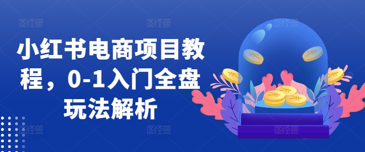 小红书电商项目教程，0-1入门全盘玩法解析-优优云网创