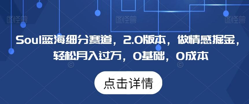 Soul蓝海细分赛道，2.0版本，做情感掘金，轻松月入过万，0基础，0成本-优优云网创