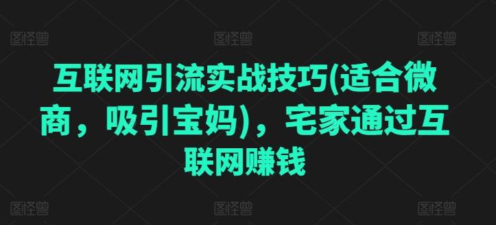 互联网引流实战技巧(适合微商，吸引宝妈)，宅家通过互联网赚钱-优优云网创