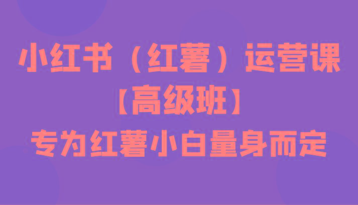 小红书(红薯)运营课【高级班】，专为红薯小白量身而定(42节课)-优优云网创