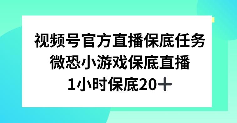 视频号直播任务，微恐小游戏，1小时20+【揭秘】-优优云网创