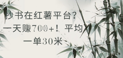 抄书在小红薯平台？平均一单30米，一天收益几张！-优优云网创