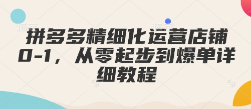 拼多多精细化运营店铺0-1，从零起步到爆单详细教程-优优云网创